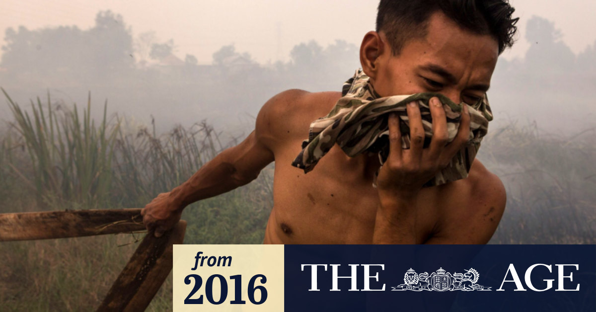 Forest fires flare  in Indonesia  province